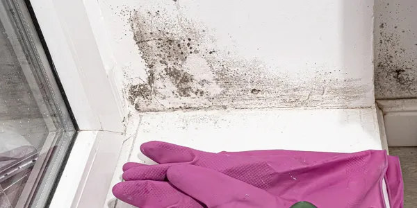 Mold remediation job completed by Cali Mold Removal in Oxnard, CA, California