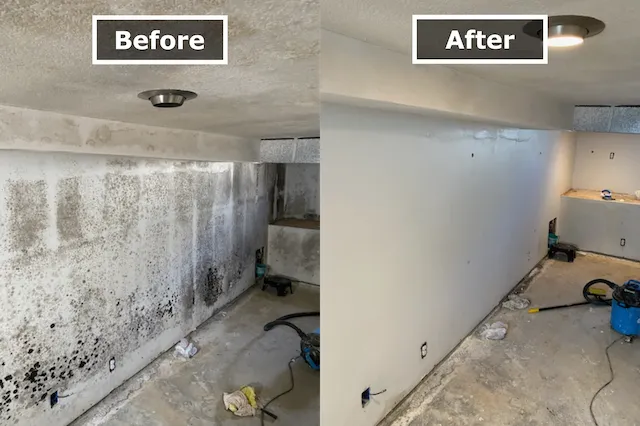 Mold remediation job completed by Cali Mold Removal in Before & After, Los Angeles, CA, California