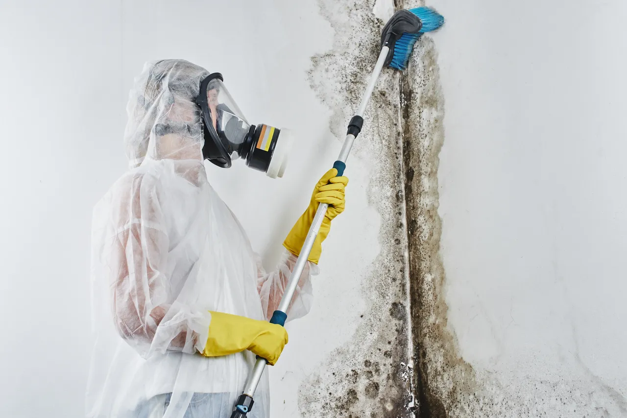 Mold remediation job completed by Cali Mold Removal in Los Angeles, CA, California