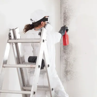 Mold remediation job completed by Cali Mold Removal in Oxnard, CA, California